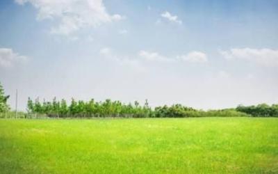 550sqm Land with C of O, Old Ikoyi, Ikoyi, Lagos, Residential Land for Sale