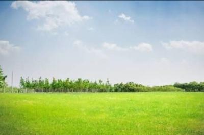 700sqm of Land with C of O, Old Ikoyi, Ikoyi, Lagos, Residential Land for Sale