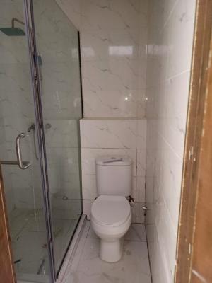 Luxury 2 Bedroom Apartment with Excellent Facility, Ikate, Lekki, Lagos, Flat / Apartment for Rent