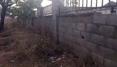 Two Serial Plots of Land