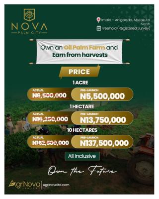 Farmland Investment That Gives Constant Return, Nova Palm City, Abeokuta North, Ogun, Commercial Land for Sale