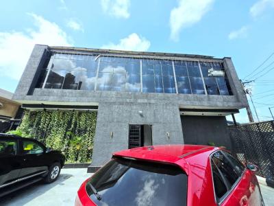 Commercial 7 Bedroom Property, Victoria Island (vi), Lagos, Restaurant / Bar for Rent