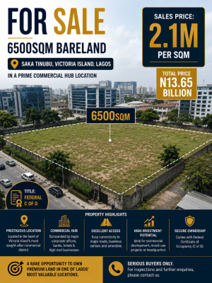 Prime 6500sqm Bareland in a Commercial Hub Location, Saka Tinubu, Victoria Island (vi), Lagos, Mixed-use Land for Sale