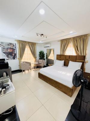 Well Furnished and Serviced 1 Bedroom Apartment in Prime Location, Close to Bannex, Wuse 2, Abuja, Flat / Apartment for Rent