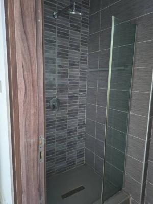 Luxury 2bedroom Apartment, Perinwinkle, Lekki Phase 1, Lekki, Lagos, Flat / Apartment for Rent