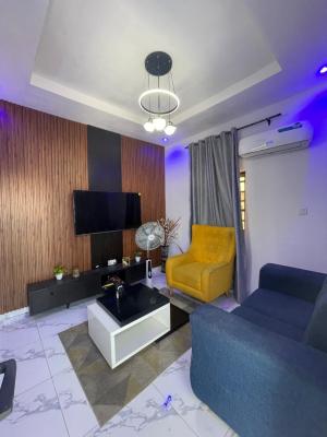 Spacious Unfurnished Miniflat with Solar 24/7 Electricity, By Thera Annex, Sangotedo, Ajah, Lagos, Mini Flat (room and Parlour) for Rent