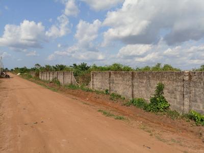 Very Strategic 12 Plot ( 300 By 400) of Land with C of O, Uhonlor Community Off  Airport Road... Also Accessible Through Ekewan, Benin, Oredo, Edo, Mixed-use Land for Sale