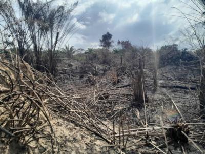 250 Plot of Land in a Serene Location, Abraham Adesanya, Lekki, Lagos, Mixed-use Land for Sale