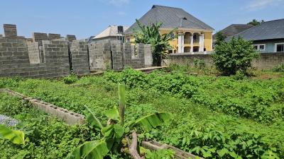 Half Plot of Land 60ft By 60ft at Withington Estate,igesu Ayobo, Withington Estate,igesu, Ayobo, Lagos, Residential Land for Sale