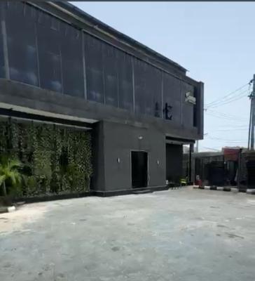 a Massive Standard Commercial Property for Lease, Victoria Island (vi), Lagos, Detached Duplex for Rent