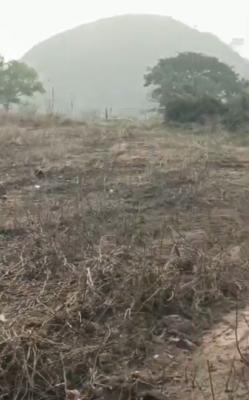 2 Hectares of Land, Central Business District, Abuja, Mixed-use Land for Sale