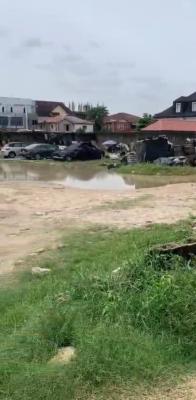 Beautiful Land Directly, Lekki Phase 1, Lekki, Lagos, Commercial Property for Rent