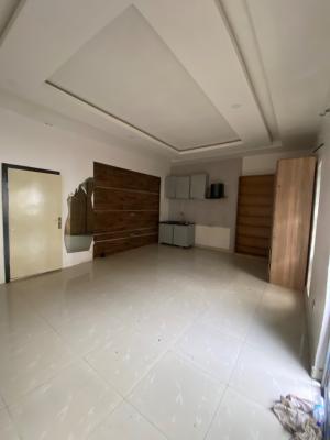 Luxury Spacious Clean One Room Studio Apartment, Orchid Road Lekki, Lekki, Lagos, Self Contain (single Rooms) for Rent