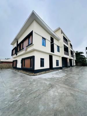 Spacious 3 Bedroom Apartment with Bq in Ajah, Lekki, Ajah, Lekki, Ajah, Lagos, Flat / Apartment for Rent