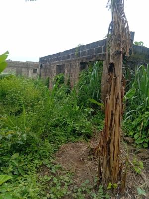 Uncompleted Structure of 4 Units of Mini Flats on Full Plot, Pakuro, Mowe, Mowe Town, Ogun, Detached Bungalow for Sale