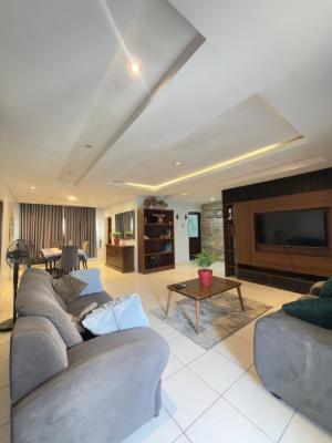 Fully Furnished & Serviced 2 Bedroom Flat, Garki, Garki, Abuja, Flat / Apartment for Rent