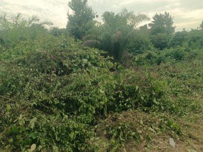 795 Sqm of Dryland in a Fast Developing Estate, Ajayi Apata Estate, Sangotedo, Ajah, Lagos, Residential Land for Sale