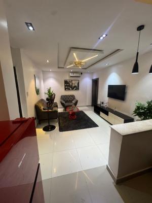 Luxury Furnished 2bedroom Apartment, Off Aliu Animashaun Ave, Lekki Phase 1, Lekki, Lagos, Flat / Apartment for Rent