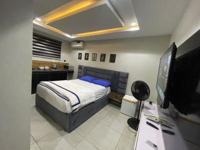 Fully Furnished 13-room Income-generating Commercial Property, Lekki Conservation, Chevron., Lekki, Lagos, Hotel / Guest House for Rent