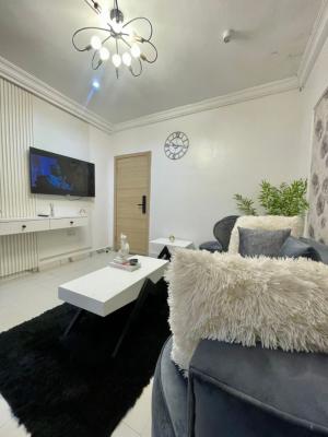 Luxury Fully Furnished and Serviced Miniflat in a Secured Estate, Lekki Phase 1, Lekki Phase 1, Lekki, Lagos, Mini Flat (room and Parlour) Short Let