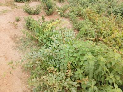 6.74 Hectares Residential Land, Single Paper, Katampe Extension, Katampe, Abuja, Mixed-use Land for Sale