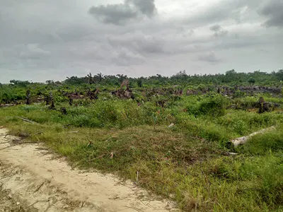 200 Acres of Commercial Land — New Oyo - Ogbomosho Expressway, Atiba, Oyo