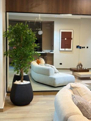 Luxury Two Bedroom Apartment, Lekki Phase 1, Lekki, Lagos, House Short Let