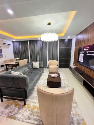 Furnished 2 Bedroom Flat, Taye Olowu, Lekki Phase 1, Lekki, Lagos, House for Rent