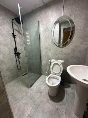 Brand New 1 Bedroom in a Non Flooded Serene Estate., New Road Opposite Chevron, Lekki, Lagos, Mini Flat (room and Parlour) for Rent