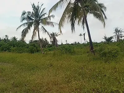 75 Acres of Land — Owode-Apa Road, Near the New Badagry Sea-Port, Badagry, Lagos
