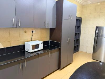 Furnished 2 Bedroom Flat, Jabi, Abuja, Flat / Apartment for Rent