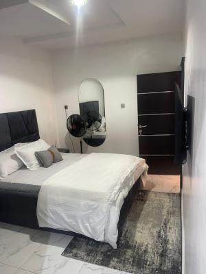 Furnished 1 Bedroom Flat at Off Airport Road, Ikeja, Off Airport Road, Ajao Estate., Isolo, Lagos, Mini Flat (room and Parlour) for Rent