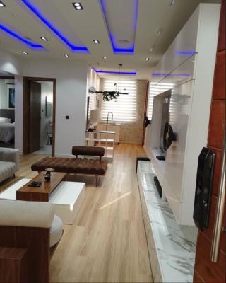 Fully Furnished 2 Bedroom Apartment in Lekki, Ikate Lekki, Lekki, Lagos, Flat / Apartment for Sale