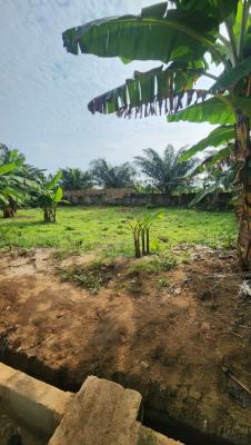 Fantastic and Strategically Located Plot of Dry Land, Mbiabong Ikot Antem, Off Oron Road, Uyo, Akwa Ibom, Residential Land for Sale