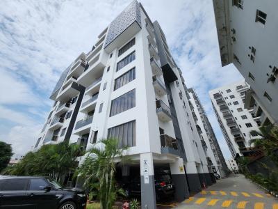 The Most Affordable Spacious Furnished and Luxurious 2 Bedroom, Old Ikoyi Lagos, Ikoyi, Lagos, Flat / Apartment for Rent