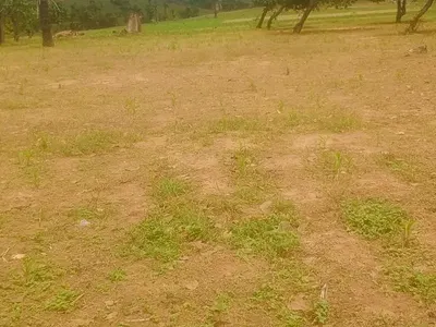 200SQM Estate Plot in Prime Location — Kuje, Abuja
