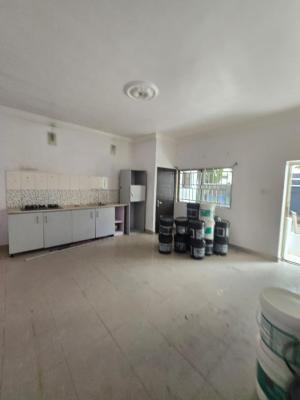 Standard 1 Bedroom Flat Within Vi, Victoria Island (vi), Lagos, Mini Flat (room and Parlour) for Rent