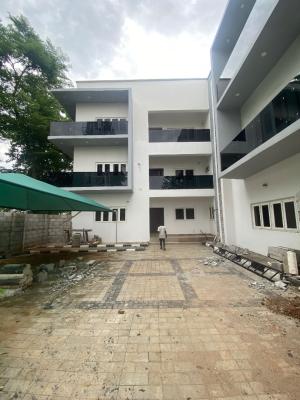 Luxury 6 Bedroom Detached Duplex, Asokoro Main, Asokoro District, Abuja, Flat / Apartment for Rent