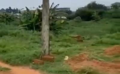 8 Plots of Land, Enugu-onitsha Expressway By Kwatta Junction, Awka, Anambra, Land for Sale
