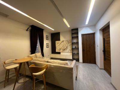 Newly Built 2 Bedroom Serviced and Furnished Apartment, Ikate Elegushi, Lekki, Lagos, Flat / Apartment for Rent