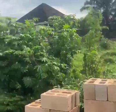 75ft By 150ft Fenced Land, New Etete Layout, Gra Ugbor Village Road, Benin, Oredo, Edo, Land for Sale