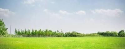 Joint Venture 4800sqm of Land  98units of 1 Bedroom,  2 Bedroom, Ogudu, Lagos, Residential Land Joint Venture
