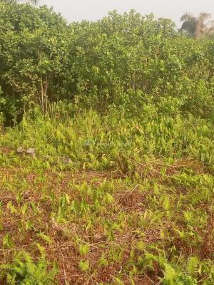 650sqm Strategic Prime Plot, Off Lekki Epe Express Way, Ogunfayo..., Ibeju Lekki, Lagos, Mixed-use Land for Sale