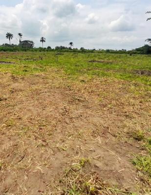 C of O Plots & Acres of Land — Isiwo, Epe, Lagos