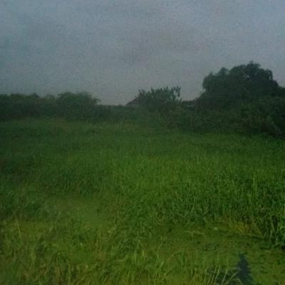 Joint Venture Land Available, Okeira, Ogba, Ikeja, Lagos, Mixed-use Land Joint Venture