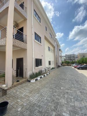 Fully Furnished and Serviced 3 Bedroom, Guzape, Guzape District, Abuja, Flat / Apartment for Rent