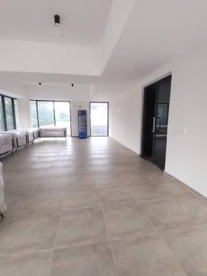 Luxury 2bedroom Penthouse, Victoria Island, Victoria Island (vi), Lagos, Flat / Apartment for Rent