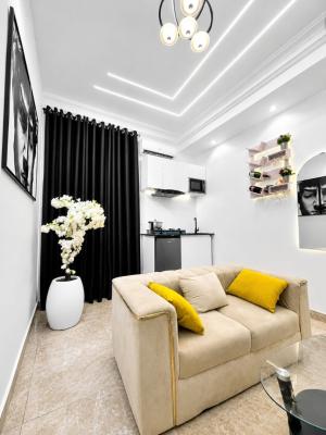 Fully Furnished Mini Flat, Osapa, Lekki, Lagos, Flat / Apartment for Rent
