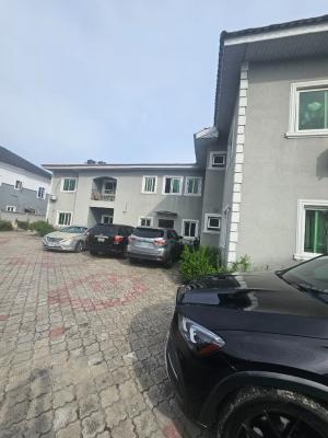 Newly Renovated 3-bedroom Flat with Bq, Off Freedom Way, Lekki Phase 1, Lekki, Lagos, Flat / Apartment for Rent