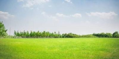 4300sqm  Land with an Old Structure Which Can Either Be Renovated, Cooper Road, Old Ikoyi, Ikoyi, Lagos, Mixed-use Land for Sale